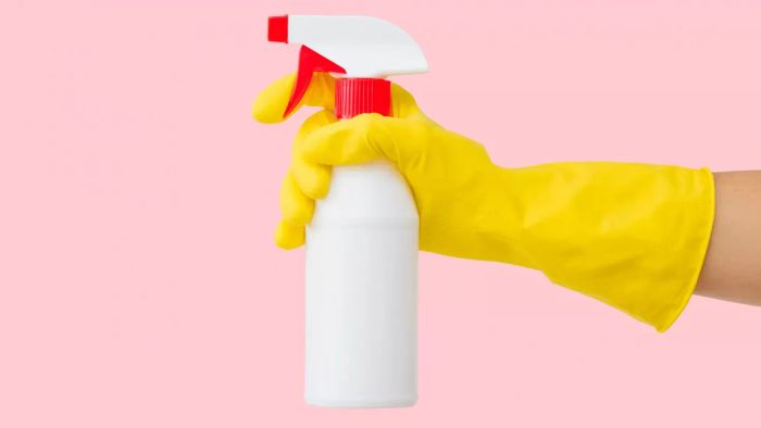 When to Consider Hiring a Professional House Cleaner, spray bottle