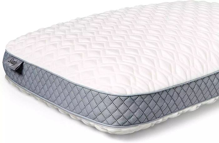 Amazon Sealy Molded Bed Pillow