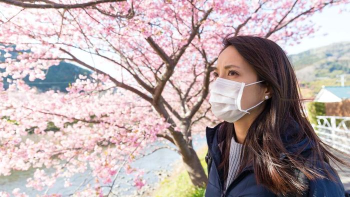 A woman wearing a mask stands in front of a cherry blossom tree.