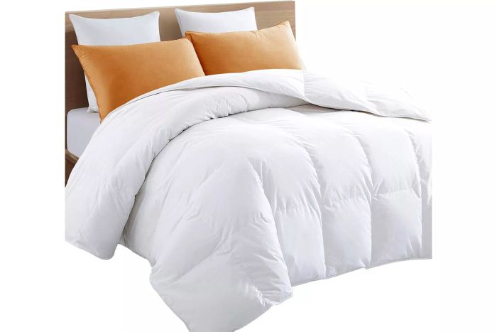 TEXARTIST Premium 2100 Series Queen Comforter
