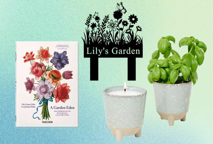 A collection of three carefully selected gardening gifts showcased on a backdrop of blue and green