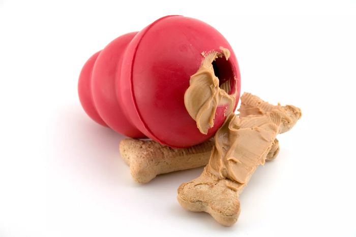 Food-dispensing toys for dogs, dog kong