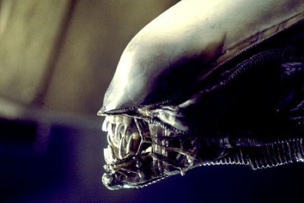 The iconic movie *Alien* owes much of its horrifying monsters to the unnerving, sexually charged designs of Swiss surrealist HR Giger. His vision came to life in a strikingly physical way, with condoms playing a key role in the creature’s creation.