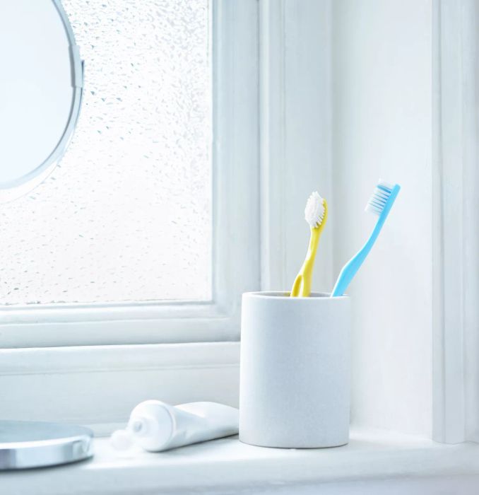 Toothbrush in holder