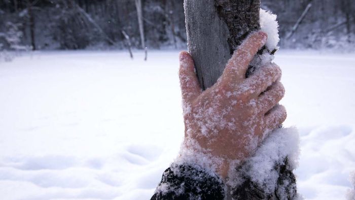 a hand buried in snow