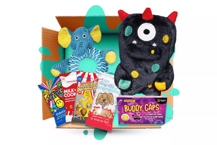 HappiTreat Dog Subscription Box: A Perfect Gift for Your Pet