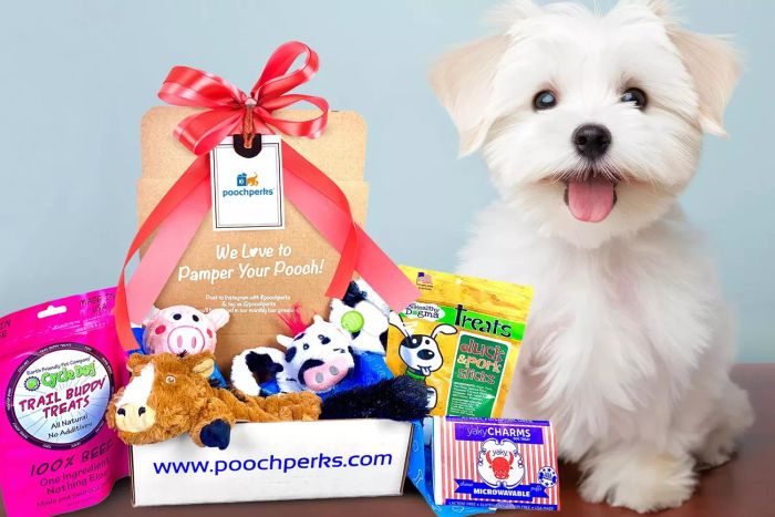 Pooch Perks Subscription Box for Your Pet's Delight