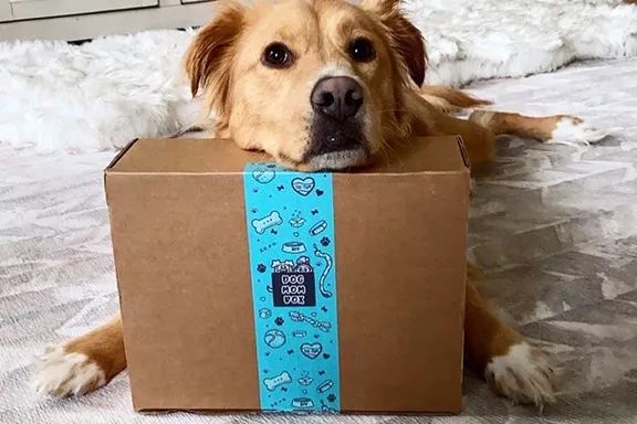 Dog Mom Subscription Box