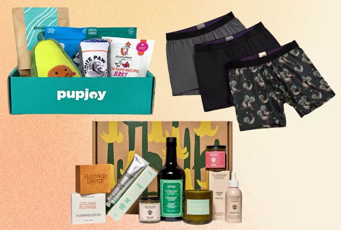 Top Subscription Picks