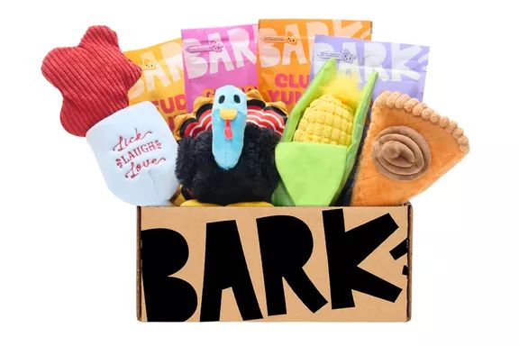 Bark Pet Subscription Box: A Fun Surprise for Your Pet