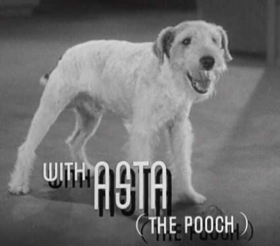 Asta in *After the Thin Man* Trailer