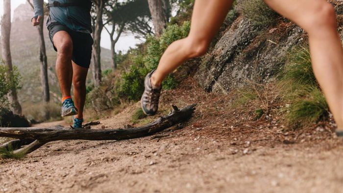 A group of runners ascending a forested hill