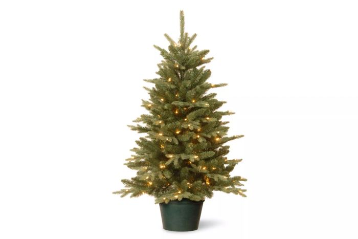 3ft. Everyday Collection Potted Evergreen Tree with Clear Lights
