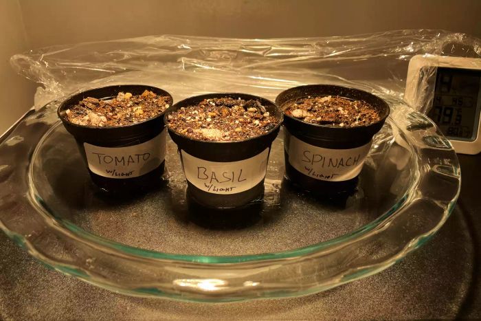 A close-up view of vegetable pots placed beneath the Soltech Solutions Aspect Large Grow Light.
