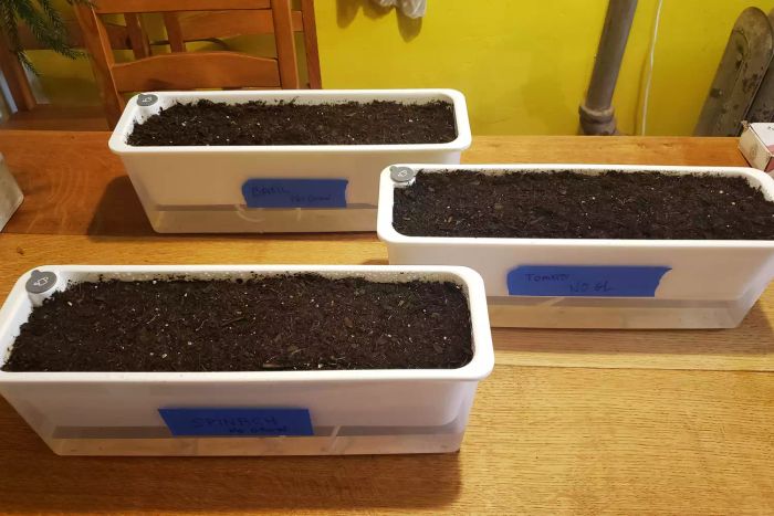 A collection of plant pots on a wooden table, all benefiting from the Dymond BoostGro LED Grow Light.