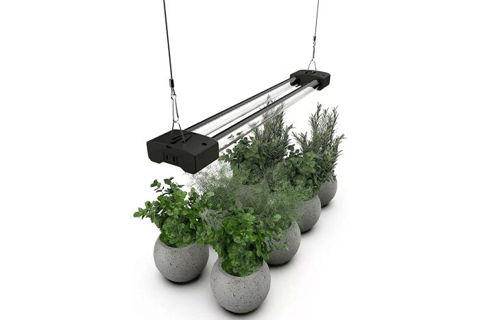 Amazon DYMOND BoostGro LED Grow Light