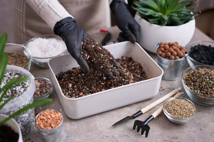 Preparing soil substrate for houseplant transplantation on a concrete surface.