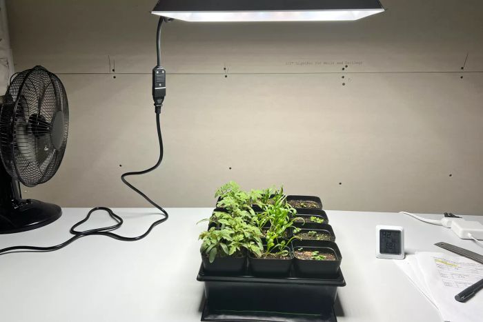 The Mars Hydro TS-1000 LED Grow Light positioned above a plant pot.
