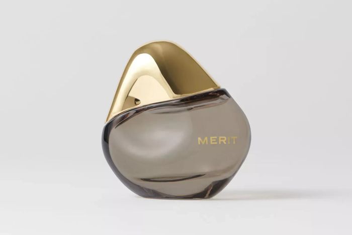 Merit Retrospect