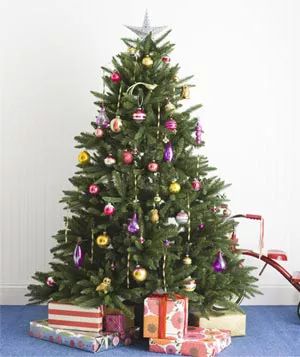 Color Palette Christmas Tree