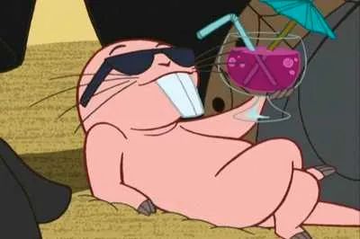 Rufus