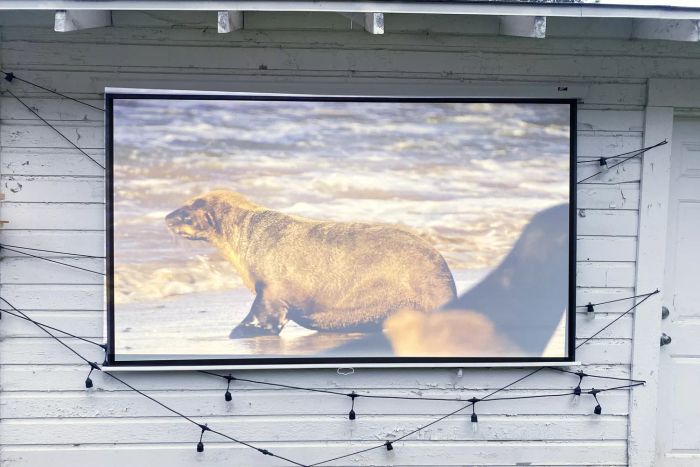 The projector is showcased on an Elite Screens Manual B Pull-Down Projection Screen.