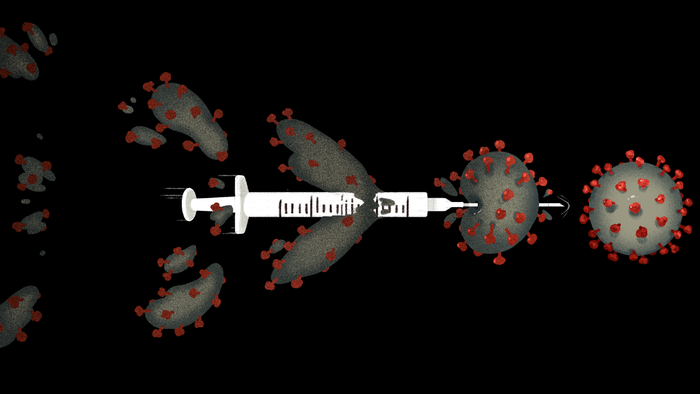 The Speedy Creation of a Vaccine