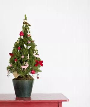 Kids and Babies Tree