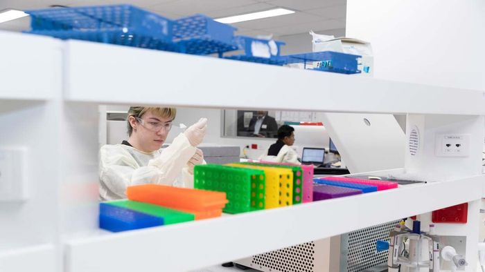 A scientist working in a laboratory with vibrant colored trays around them