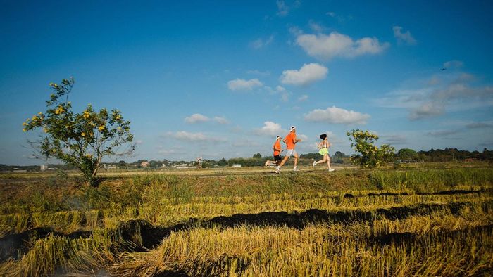 Bản đồ chi tiết của Giải chạy Minh Đạm Discovery Marathon 2025