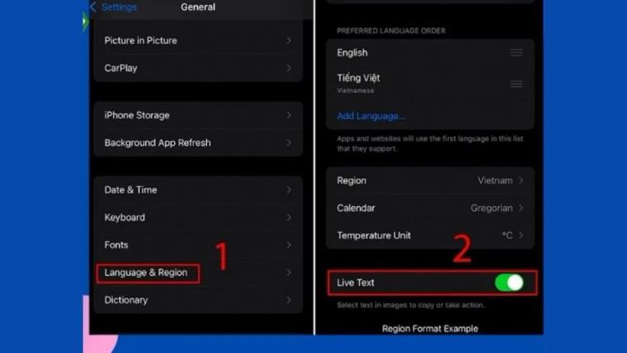 Hướng dẫn quét tài liệu trên iPhone bằng Live Text
