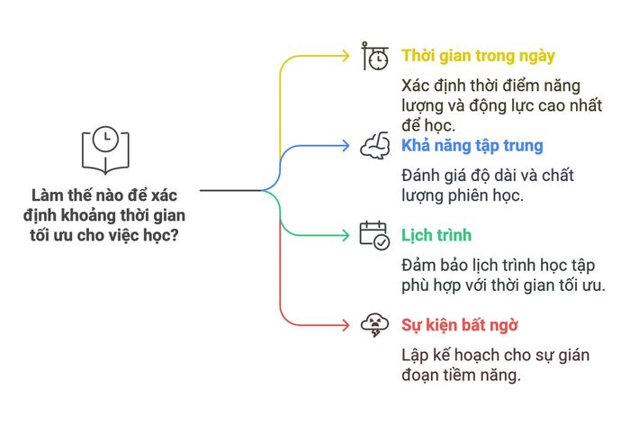 Áp dụng nhịp sinh học vào quá trình ôn luyện thi IELTS