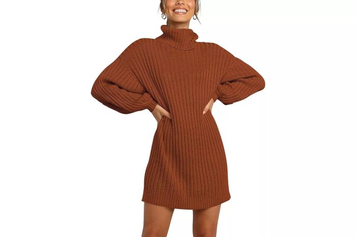 Amazon ANRABESS Oversized Sweaters Dress for Women Turtleneck Batwing Sleeve 2023 Fall Winter Casual Short Dress