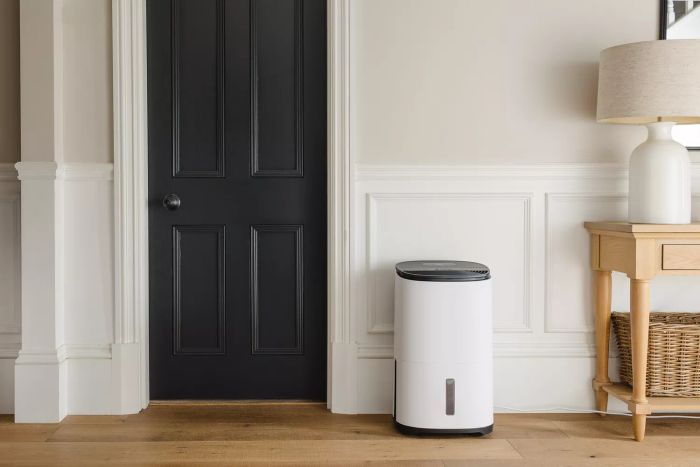 A dehumidifier and air purifier work together to remove excess moisture and cleanse the air in a contemporary hallway featuring white paneling and dark blue doors. The soft cream tones and subtle hues create an inviting, aspirational home atmosphere.