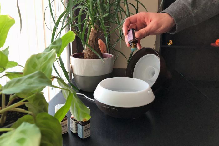 A person adding essential oil to the BZseed Aromatherapy Essential Oil Diffuser