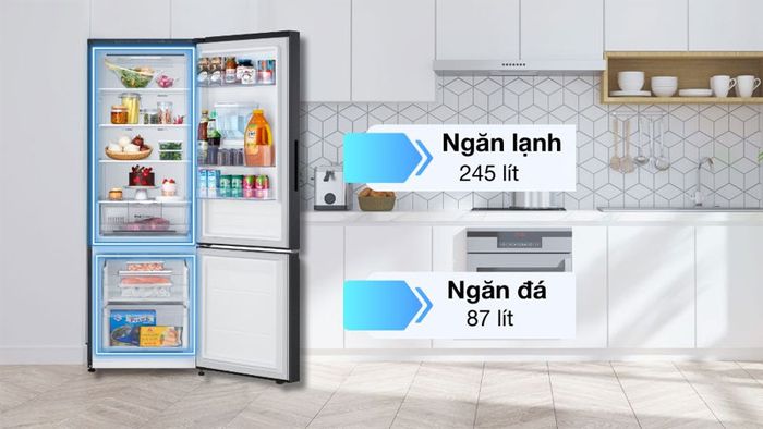 tu-lanh-lg-2-canh-6
