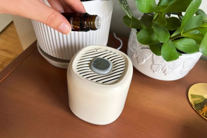 A hand adding drops of essential oil into the Canopy Waterless Diffuser on a wooden table beside a plant