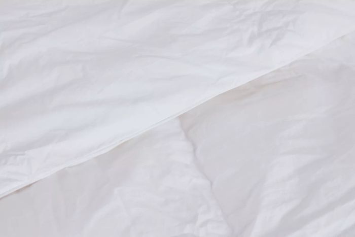 Boll & Branch Down Alternative Duvet Insert