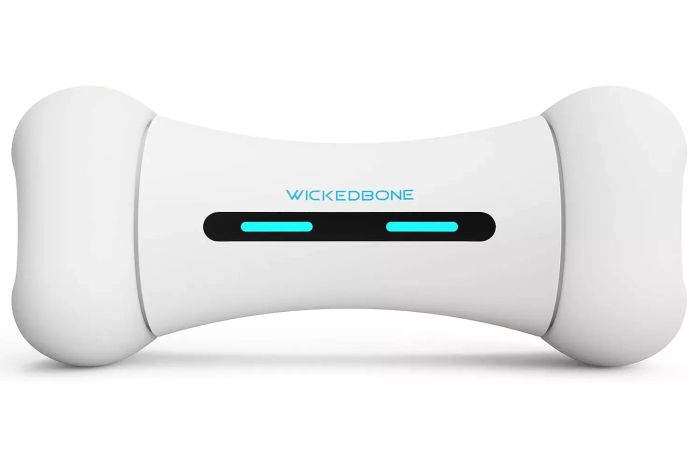 Amazon Wickedbone Smart Bone