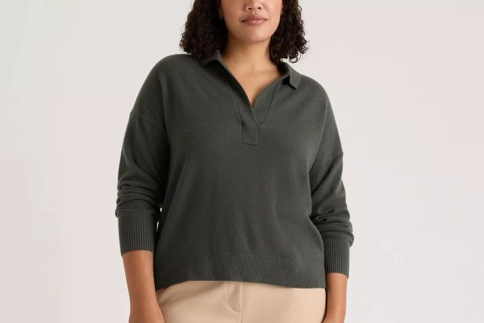 Quince Mongolian Cashmere Polo Sweater