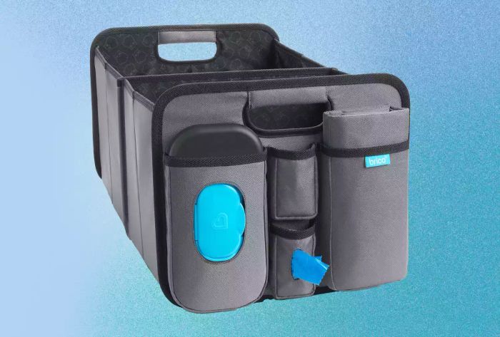 Review Spotlight: Trunk Organizer