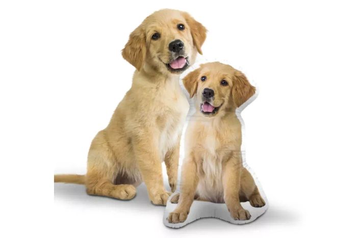 All About Vibe Custom Dog Pillow