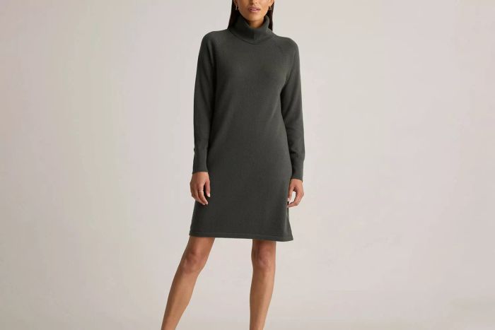 Quince Mongolian Cashmere Turtleneck Sweater Dress