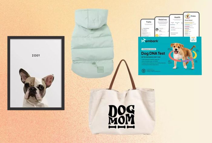 A vibrant collage showcasing four recommended gifts for dog enthusiasts