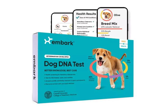 Embark Vet Breed & Health Dog DNA Test