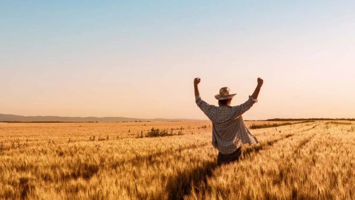 Transform Your Perspective by Embracing an Abundance Mindset