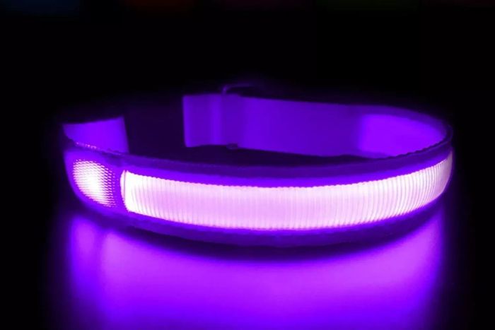 Masbrill Light Up Dog Collar