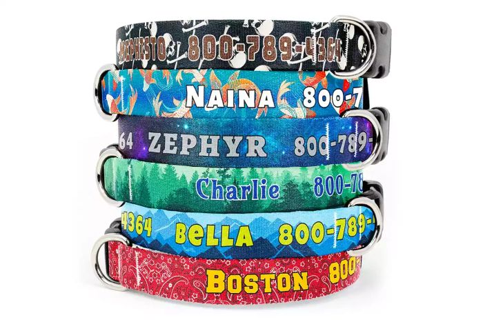 Buttonsmith Custom Dog Collar