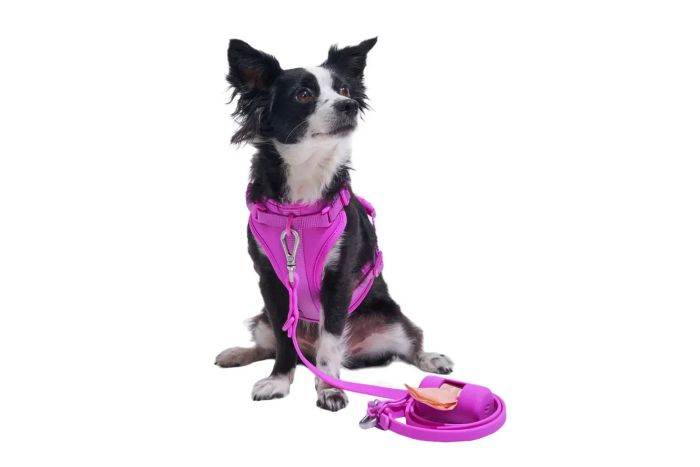 Wild One The Harness Walk Kit