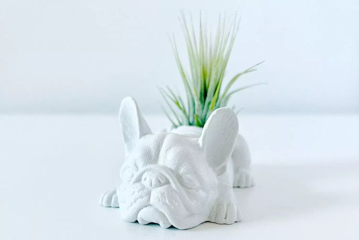 Etsy Dovekien Finch French Bulldog Mini Planter
